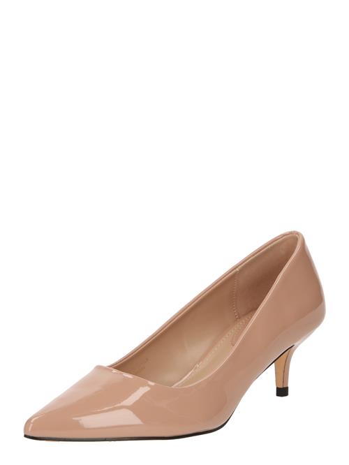 Dorothy Perkins Pumps 'Dove Kitten'  pudder