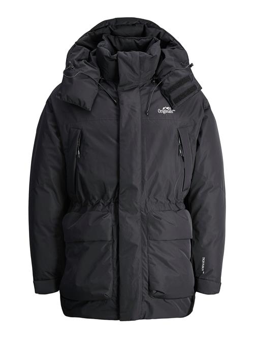 JACK & JONES Vinterparka 'JORKANI'  sort / hvid