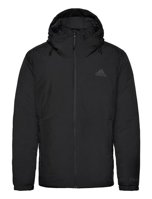 adidas Sportswear Traveer Cr J Adidas Sportswear Black