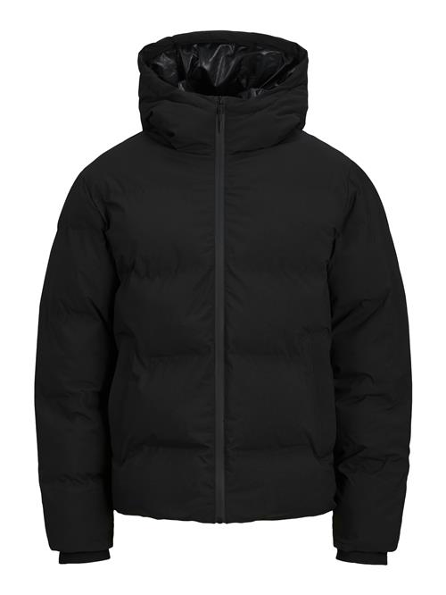 JACK & JONES Vinterjakke 'JJPayne'  sort