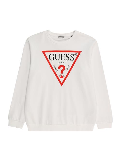 GUESS Sweatshirt  rød / sort / hvid