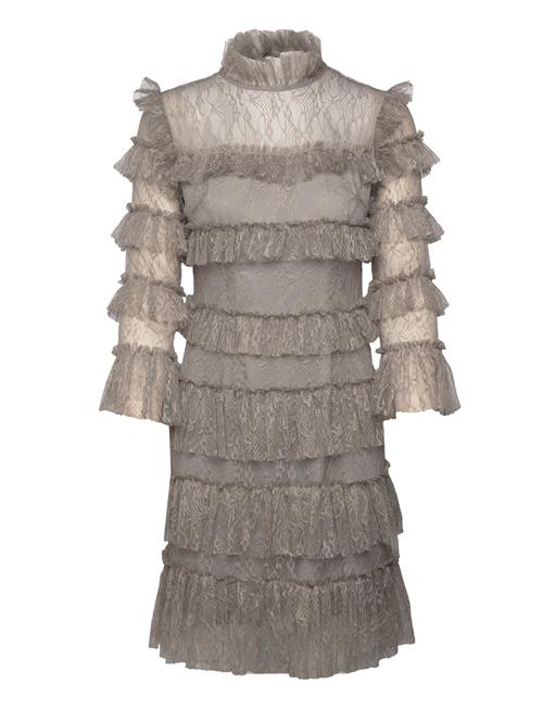 Carmine Frill Lace Mini Dress Malina Grey