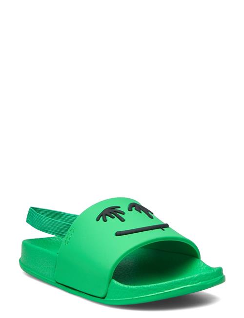 Molo Zhappy Molo Green