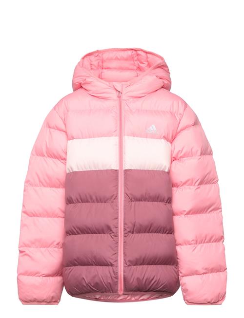 adidas Sportswear J Sd Jkt Adidas Sportswear Pink