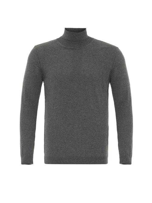 Antioch Pullover  grå