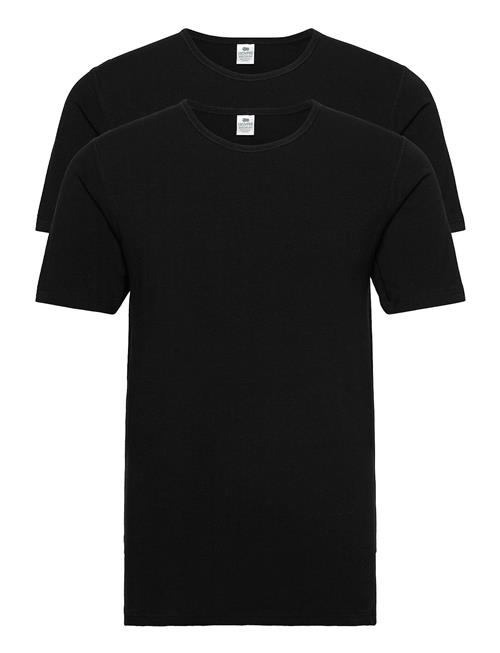 Dovre T-Shirt 2-Pack Gots Dovre Black