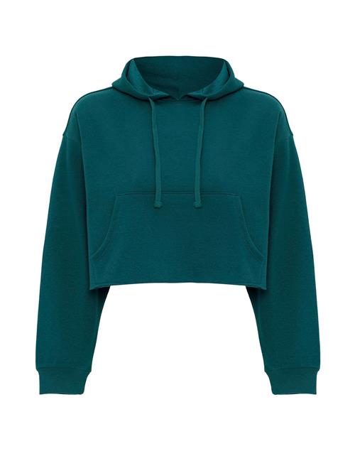 Jacey Quinn Sweatshirt 'Heide'  grøn