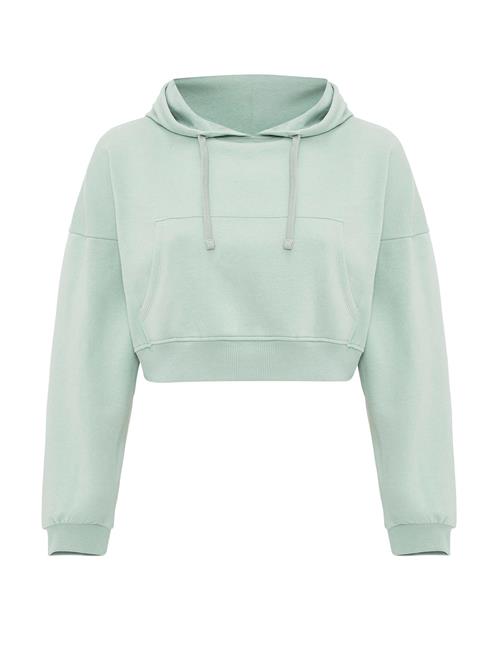 Se Jacey Quinn Sweatshirt 'Helga'  mint ved About You