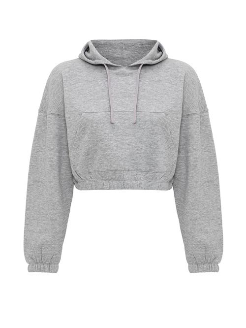 Se Jacey Quinn Sweatshirt 'Dora'  grå ved About You