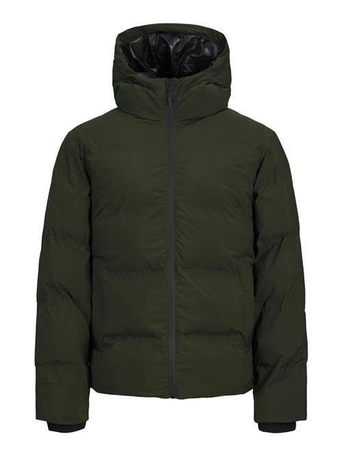 JACK & JONES Vinterjakke 'JJPayne'  mørkegrøn / sort