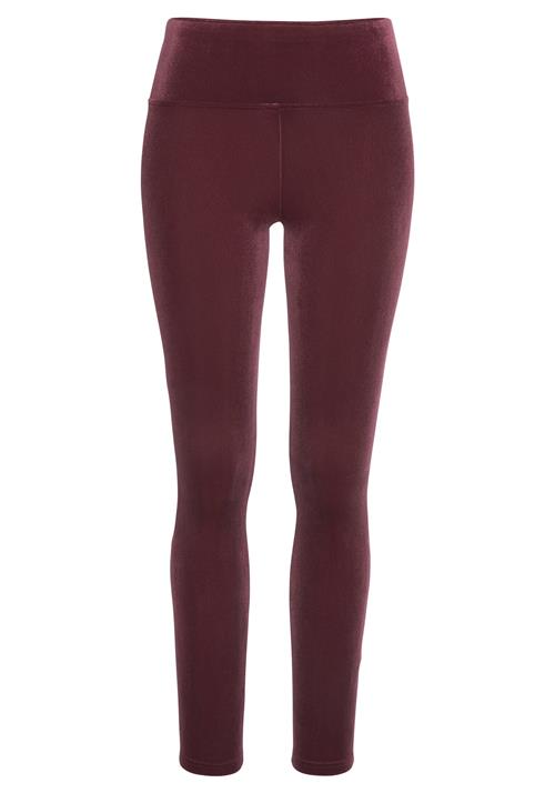 LASCANA Leggings  bordeaux