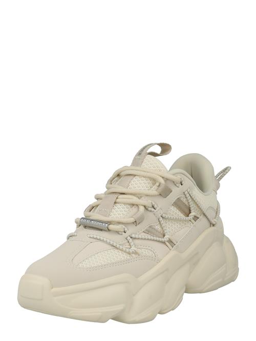 Se STEVE MADDEN Sneaker low 'SPECTATOR'  greige ved About You