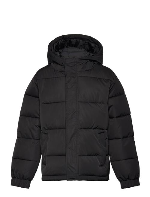 LMTD Nlmmyis Jacket LMTD Black