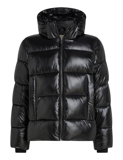 Calvin Klein Hooded Quilt Puffer Mw Gloss Calvin Klein Black