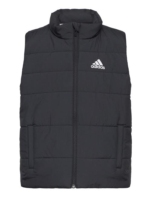 Jk Pad Vest Adidas Sportswear Black