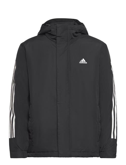 adidas Sportswear 3S Hooded Jkt Adidas Sportswear Black