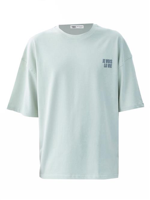 VAMOS CLO Bluser & t-shirts 'Pasadena'  grå / mint / sort