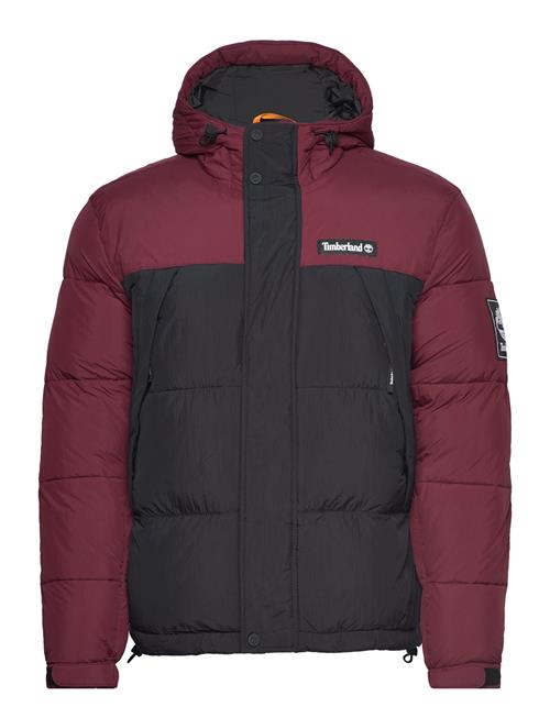 Timberland Archive Puffer Jkt Timberland Black