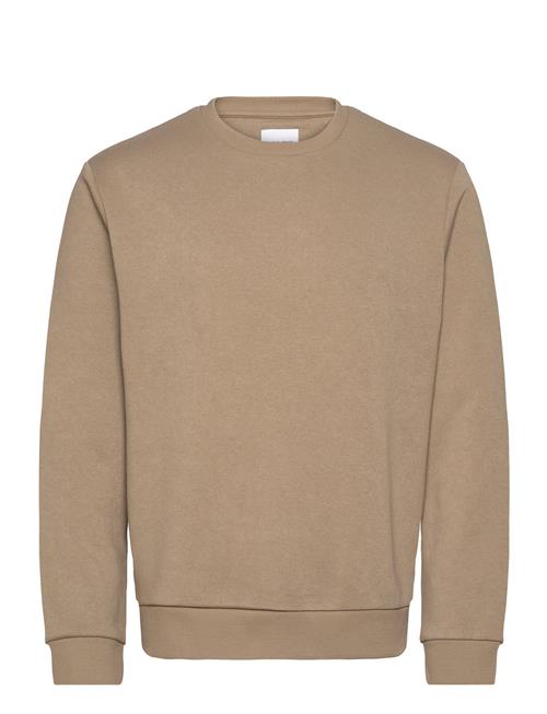 Jack & Jones Jjebradley Sweat Crew Noos Jack & J S Beige