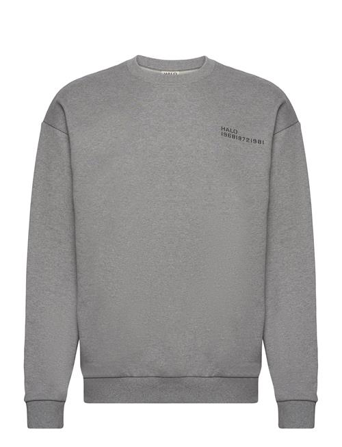 HALO Halo Essential Crew HALO Grey