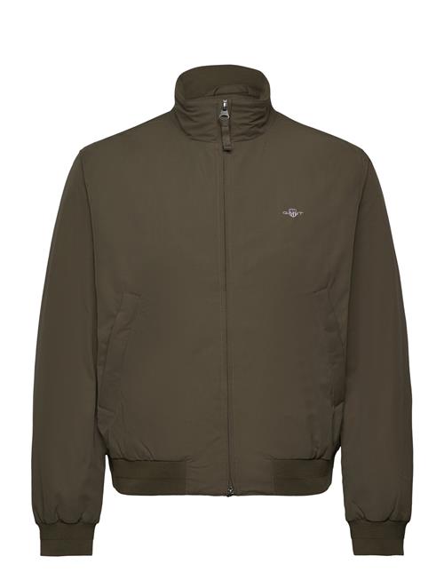 Padded Hampshire Jacket GANT Green