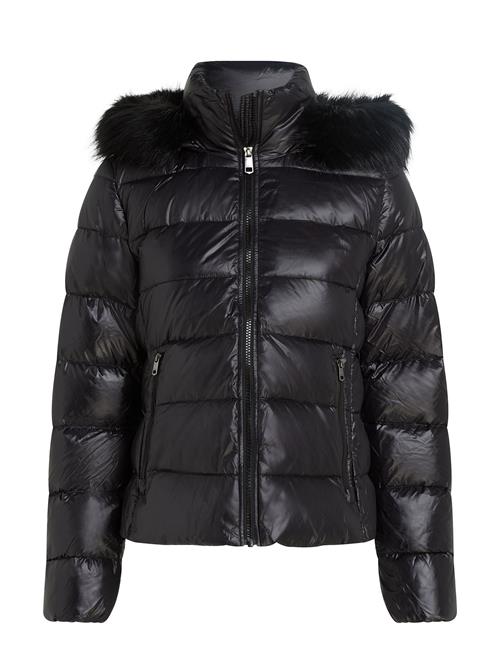 Tommy Hilfiger Gloss Down Tyra Jkt With Fur Tommy Hilfiger Black