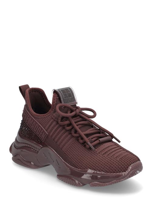 Steve Madden Maxilla-R-E Sneaker Steve Madden Burgundy