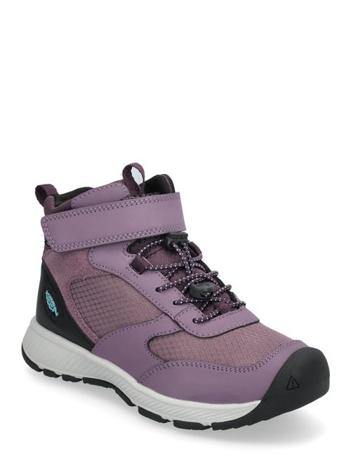 KEEN Ke Skua Mid Wp Y-Black Plum-Plum Perfect KEEN Purple