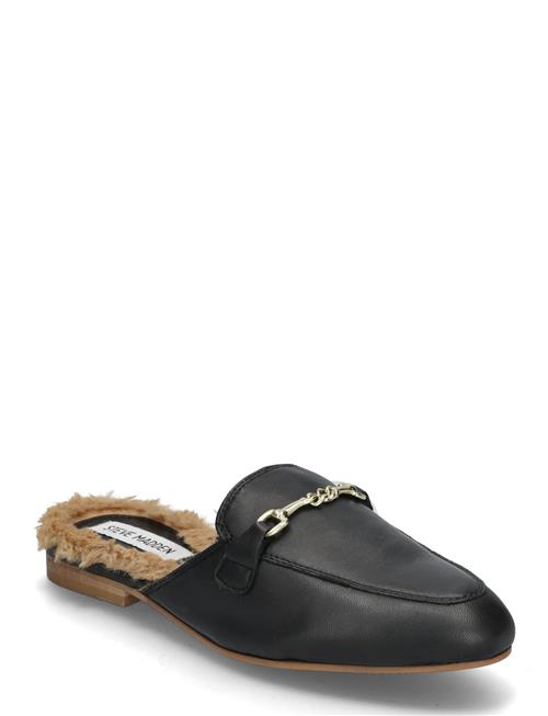 Steve Madden Cleodora-F Mules Steve Madden Black