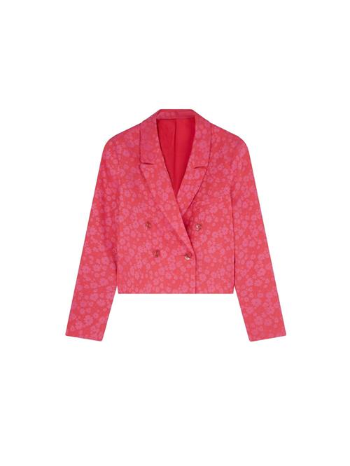 Se Scalpers Blazer 'Jac'  pink / pitaya ved About You