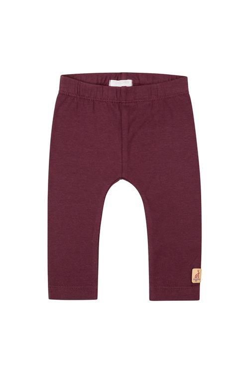 Noppies Leggings 'Foz'  rødviolet