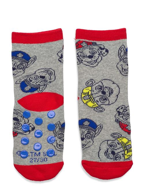 Paw Patrol Socks Paw Patrol Patterned