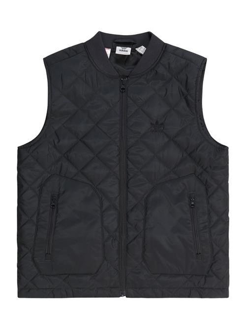 ADIDAS ORIGINALS Vest  antracit