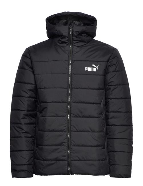 PUMA Ess Hooded Padded Jacket PUMA Black