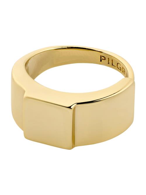 Pilgrim Ring 'FRIENDS'  guld