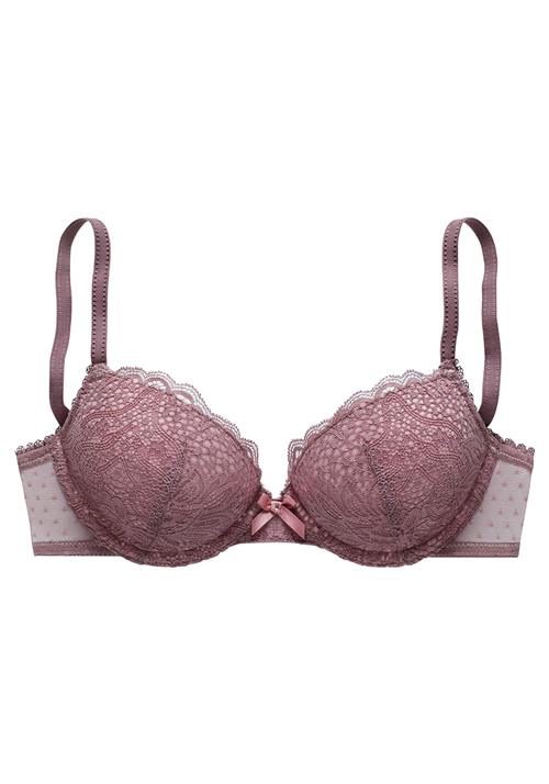 VIVANCE BH  lysviolet