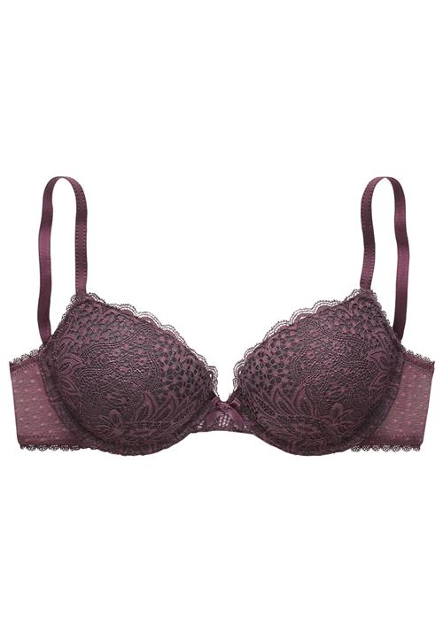 VIVANCE BH  aubergine