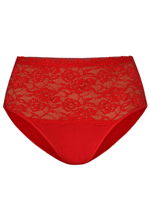 Se TEYLI Panty 'Violetta'  brandrød ved About You