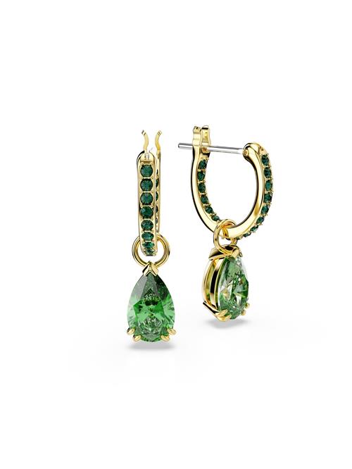 Swarovski Øreringe 'Attract'  guld / grøn