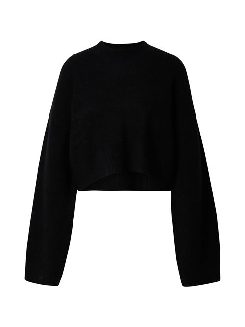 LeGer by Lena Gercke Pullover 'Elwine'  sort