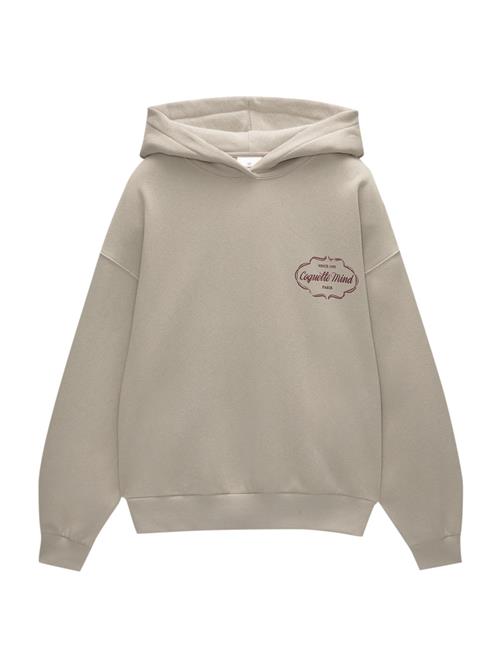 Pull&Bear Sweatshirt  taupe / bær