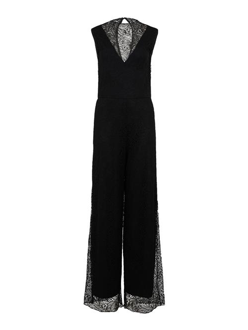 Se Guido Maria Kretschmer Women Jumpsuit 'Eve'  sort ved About You