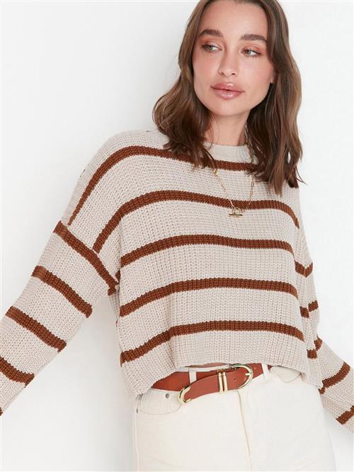 Trendyol Pullover  brun / stone