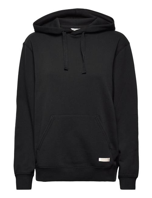 Björn Borg Centre Hoodie Björn Borg Black