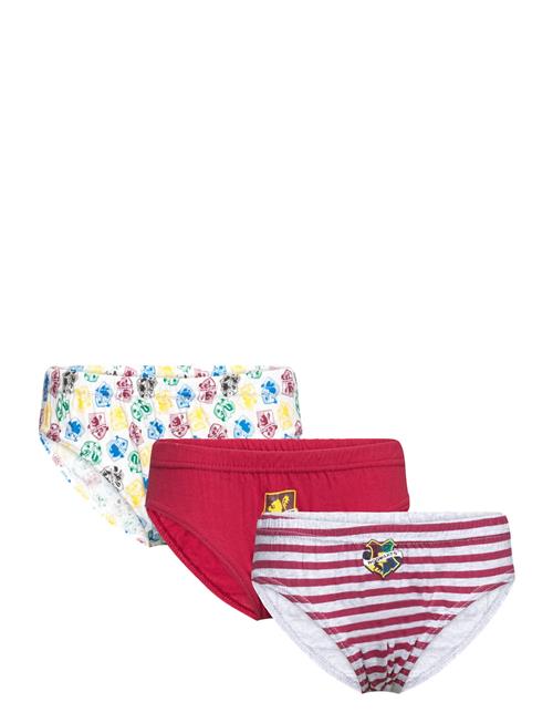 Harry Potter Box Of 3 Briefs Harry Potter Patterned