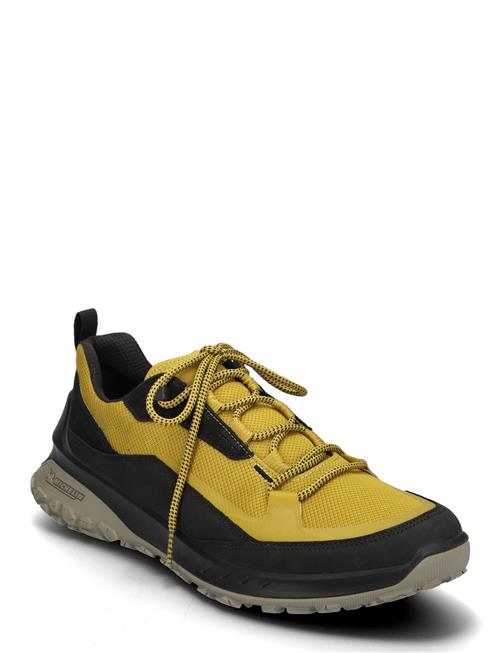 ECCO Ult-Trn M ECCO Yellow