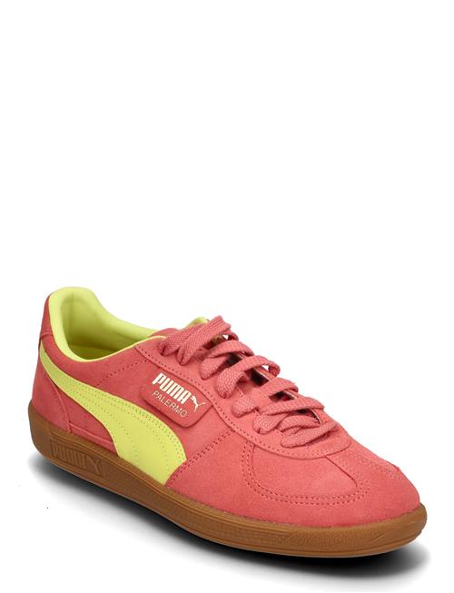 PUMA Palermo PUMA Coral