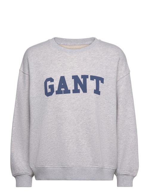 GANT Graphic C-Neck Sweat GANT Grey