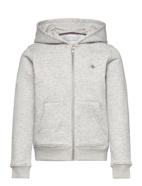 GANT Shield Zip Hoodie GANT Grey