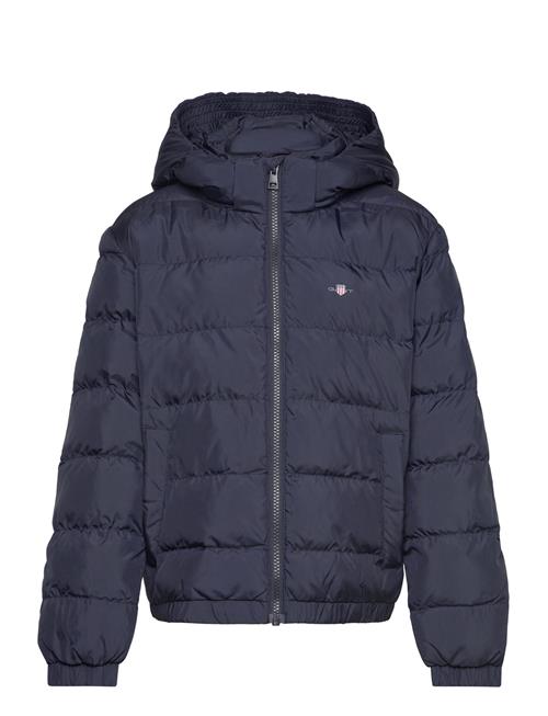 Shield Padded Jacket GANT Navy